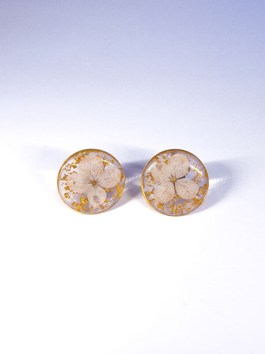 Hydrangea Studs