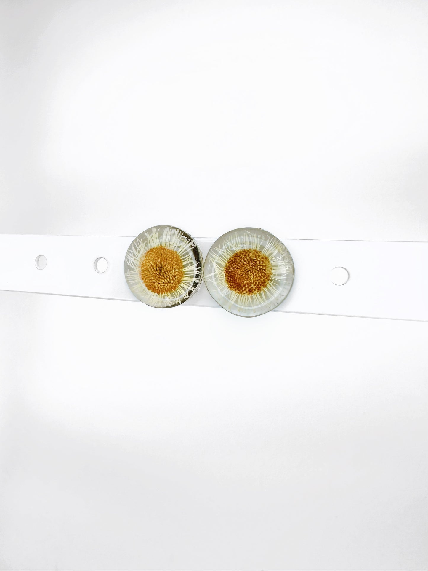 Micro-Daisy Circle Studs