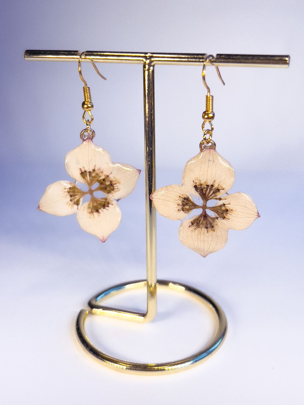 Dangle earrings made from real dogwood flowers, in gold.