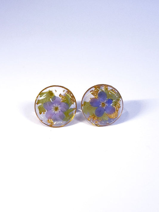 Round stud earrings made from pressed forget-me-not flowers and ferns.