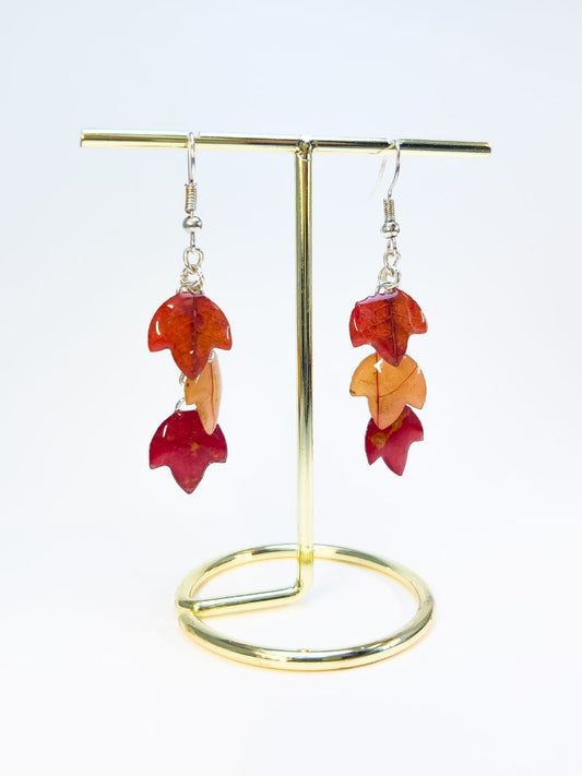 A pair of real maple leaf earrings.