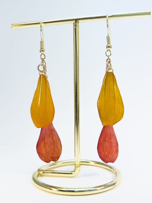 Real Zinnia Flower Earrings. Orange and red autumn zinnia petals.