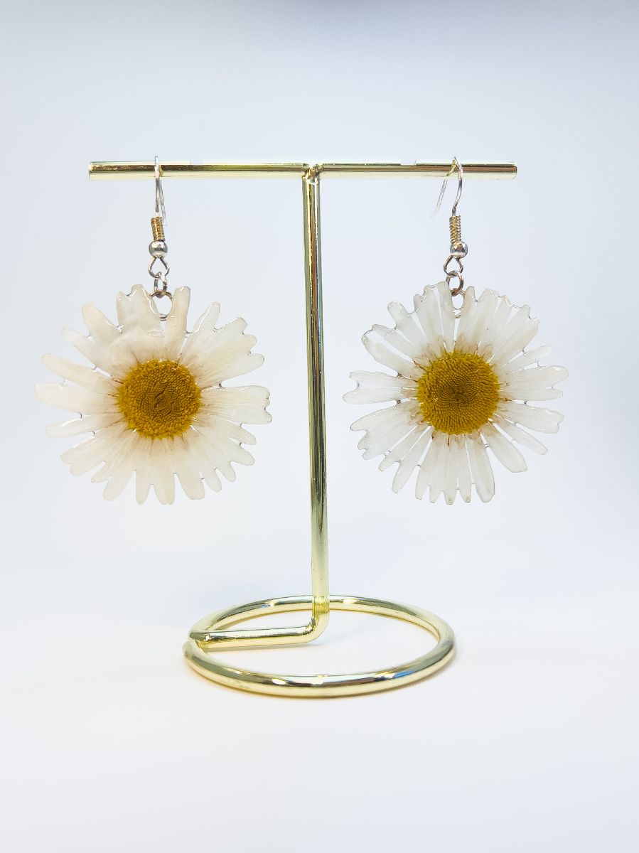 Pair of 3D Real Daisy Earrings hanging on a display.