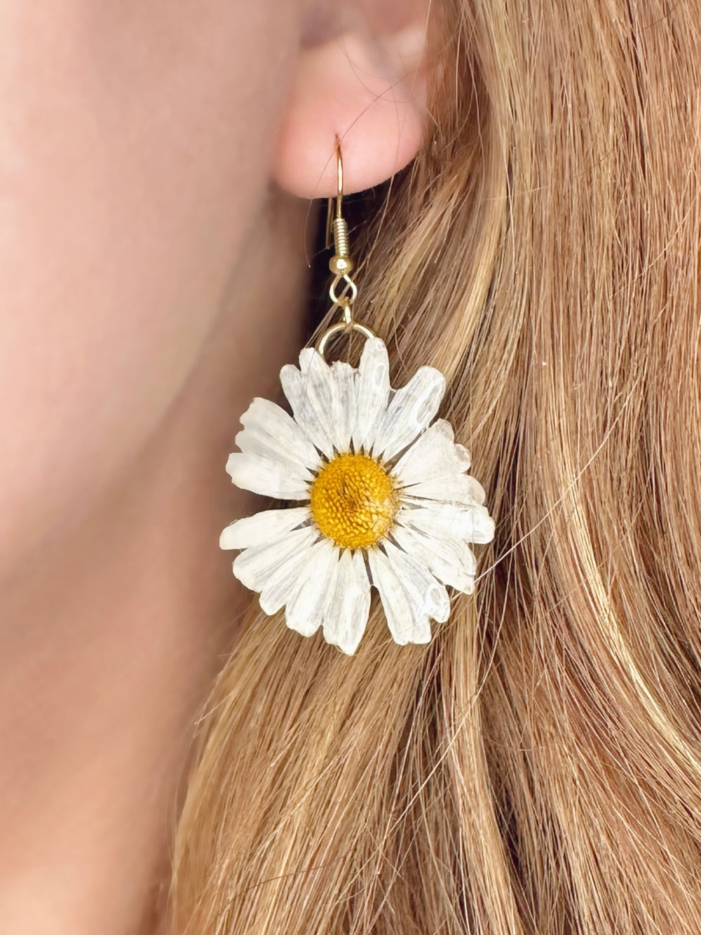Real pressed daisy earring hanging from a ladies ear.