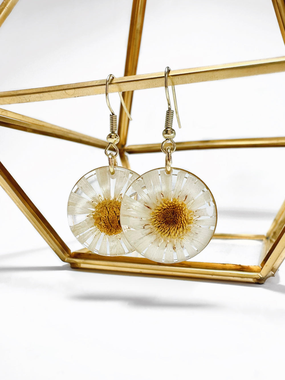 A pair of circle pendant dangle earrings made with real pressed daisies. 